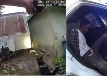 Central Florida Armed Home Invasion Suspect Tracked And Apprehended