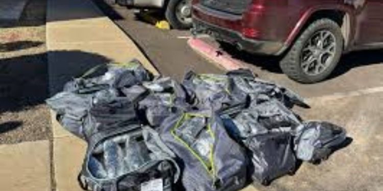 Illegal Drugs Valued At $77 Million Seized And Over 600 Arrested In Arizona Border Operation