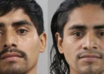 Illegal Immigrant Twins Wanted For Ripping Off Construction Sites Apprehended In Auburndale
