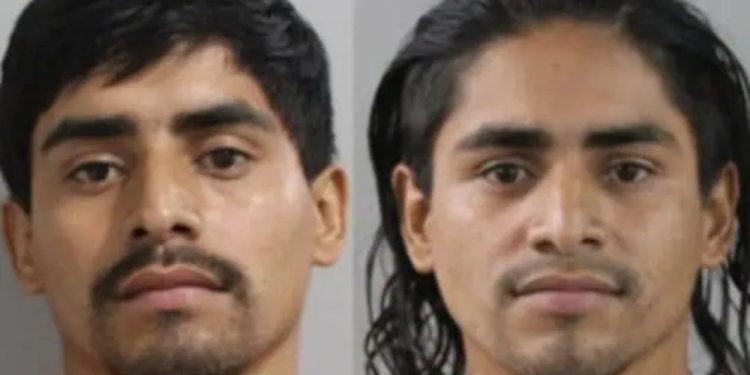 Illegal Immigrant Twins Wanted For Ripping Off Construction Sites Apprehended In Auburndale
