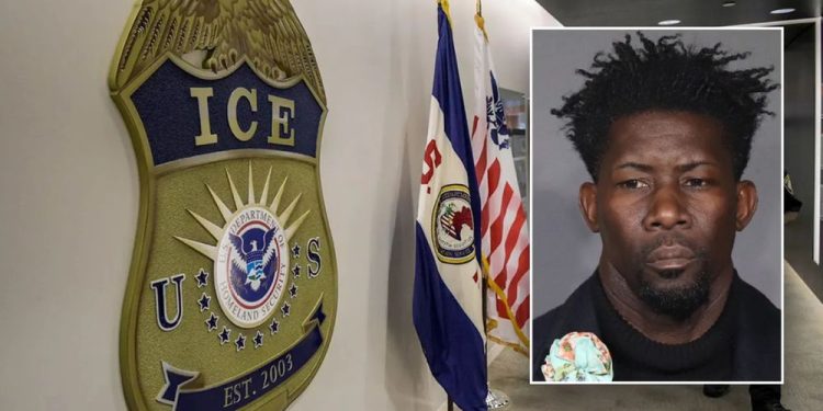 Illegal alien apprehended by ICE found registered as active Democrat voter in blue state