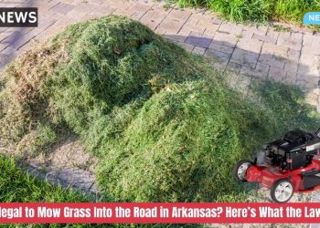 Is It Illegal to Mow Grass Into the Road in Arkansas Here’s What the Law Says