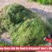 Is It Illegal to Mow Grass Into the Road in Arkansas Here’s What the Law Says