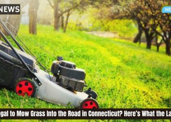 Is It Illegal to Mow Grass Into the Road in Connecticut Here’s What the Law Says