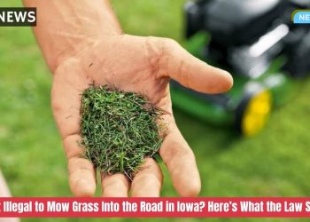 Is It Illegal to Mow Grass Into the Road in Iowa? Here’s What the Law Says