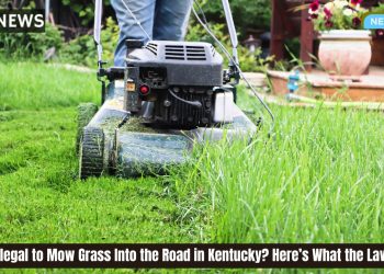 is It Illegal to Mow Grass Into the Road in Kentucky Here’s What the Law Says