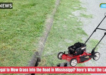 Is It Illegal to Mow Grass Into the Road in Mississippi? Here’s What the Law Says