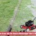 Is It Illegal to Mow Grass Into the Road in Mississippi? Here’s What the Law Says