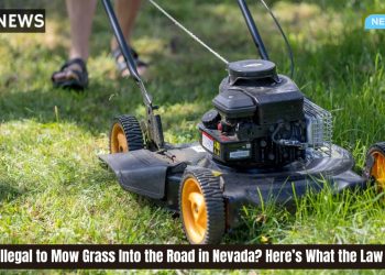 Is It Illegal to Mow Grass Into the Road in Nevada? Here’s What the Law Says