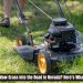 Is It Illegal to Mow Grass Into the Road in Nevada? Here’s What the Law Says