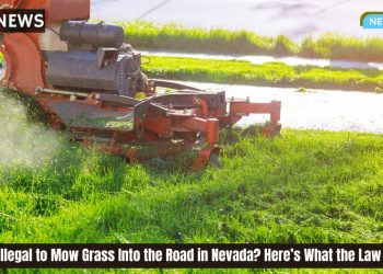 Is It Illegal to Mow Grass Into the Road in Nevada Here’s What the Law Says