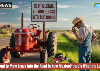 Is It Illegal to Mow Grass Into the Road in New Mexico Here’s What the Law Says