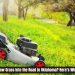 Is It Illegal to Mow Grass Into the Road in Oklahoma? Here’s What the Law Says