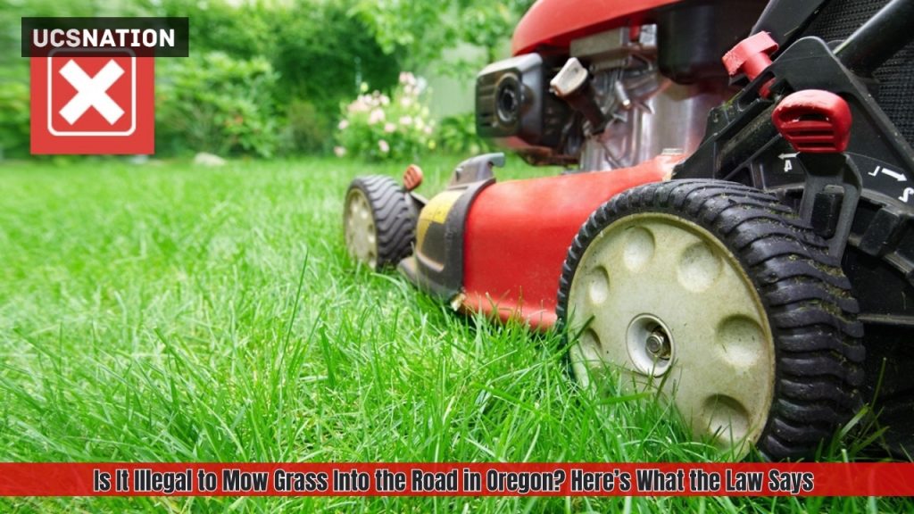 Is It Illegal to Mow Grass Into the Road in Oregon? Here’s What the Law Says