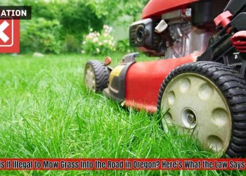 Is It Illegal to Mow Grass Into the Road in Oregon? Here’s What the Law Says