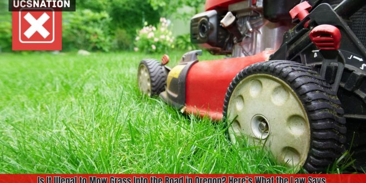 Is It Illegal to Mow Grass Into the Road in Oregon? Here’s What the Law Says