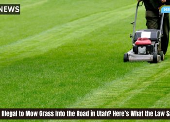 Is It Illegal to Mow Grass Into the Road in Utah? Here’s What the Law Says
