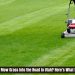 Is It Illegal to Mow Grass Into the Road in Utah? Here’s What the Law Says