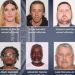 10 people apprehended in Florida child exploitation sting: ‘Operation Not a Fan’
