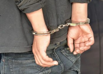 14-year-old Pennsylvania Teen Allegedly Stabbed Mother And Woman To Death And Bragged About It Online