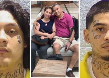 2 Men Sentenced To Prison For Murdering Driver On Stevenson Expressway While Out On Pretrial Release