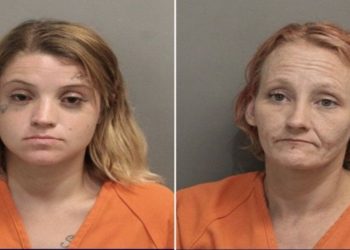 Alleged Copper Thieves Detained At Vacant North Houston Property By Constable Deputies