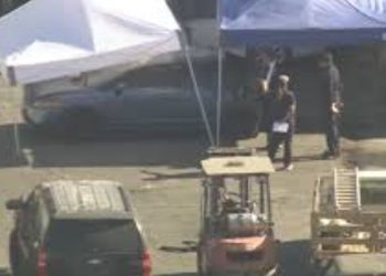 Arrest Made After Body Discovered In Car At South Los Angeles Tow Yard