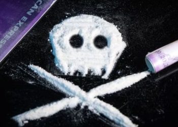 Dallas Police Seize $100,000 And 357 Pounds Of Meth And Handgun In West Oak Cliff Drug Bust