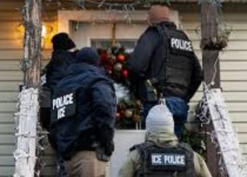 ICE arrests more than 800 in Illinois amid protests and sanctuary policies