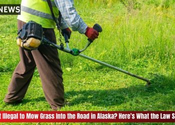 Is It Illegal to Mow Grass Into the Road in Alaska Here’s What the Law Says