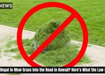 Is It Illegal to Mow Grass Into the Road in Hawaii? Here’s What the Law Says