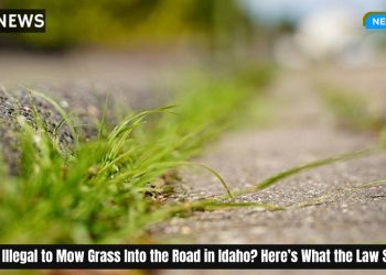 Is It Illegal to Mow Grass Into the Road in Idaho? Here’s What the Law Says