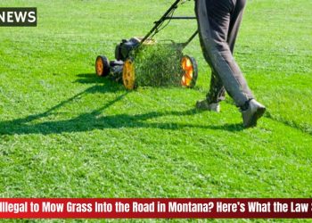 Is It Illegal to Mow Grass Into the Road in Montana Here’s What the Law Says
