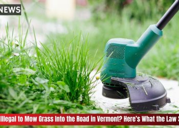 Is It Illegal to Mow Grass Into the Road in Vermont Here’s What the Law Says