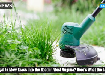 Is It Illegal to Mow Grass Into the Road in West Virginia Here’s What the Law Says