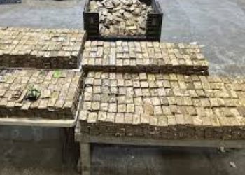 Massive Load Of Methamphetamine, Heroin Found In Cucumber Shipment