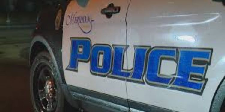 Meridian Man Detained In Child Exploitation Case