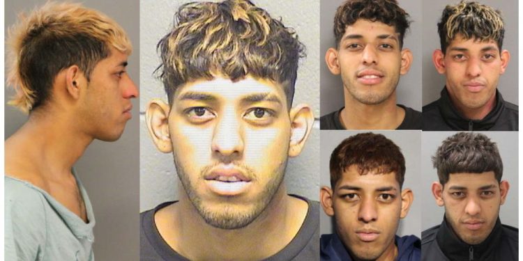 Migrant, Apprehended 8 Times Since 2024, Stabbed Man Who Refused To Delete Video: Prosecutors Say