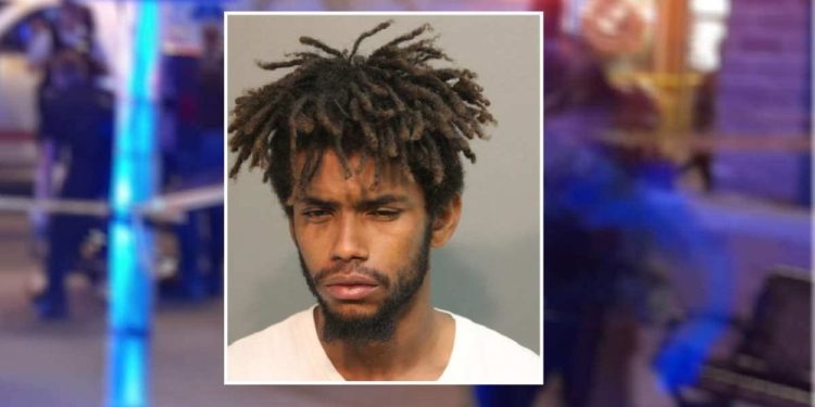 Migrant Sentenced To 7 Years In Prison For Mugging Lollapalooza Concertgoers, Badly Beating One With Scooter