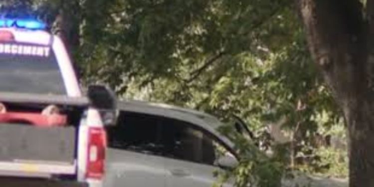 Police: 4 Dead After Gunman Goes On Shooting Spree On 24-mile Stretch Of Texas Interchange