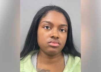 Suburban Chicago Woman Charged In Fatal Interstate 57 Hit-and-run Crash