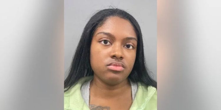 Suburban Chicago Woman Charged In Fatal Interstate 57 Hit-and-run Crash