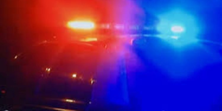 Woman body found in vacant lot: SLMPD