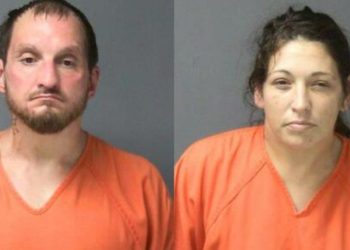 2 Apprehended After Major Drug Bust During Traffic Stop In Columbia County