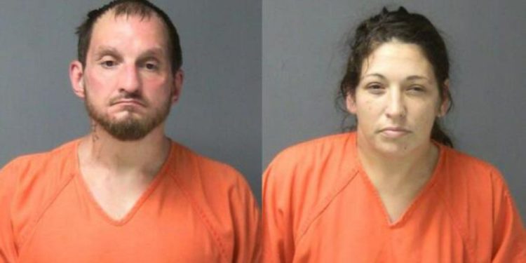 2 Apprehended After Major Drug Bust During Traffic Stop In Columbia County