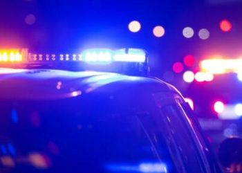 2 Indicted, 10 Kilos of Cocaine Found in Car And $87,000 Seized from Home