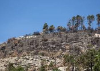 50 Arrested After Border Security Operation In Southern Arizona