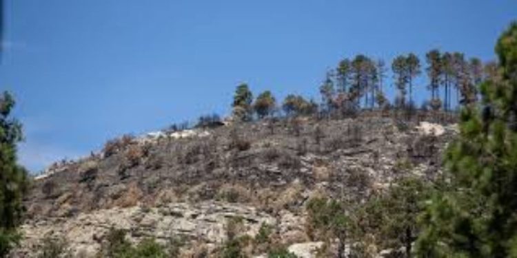 50 Arrested After Border Security Operation In Southern Arizona