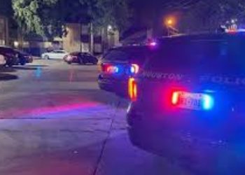 80 Apprehended In Crime Bust In Harris County, Just Before Holidays