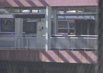 Chicago police: Man stabbed and robbed on CTA train on Thanksgiving